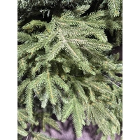 7 Foot Imperial Spruce Christmas Tree