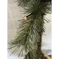 150cm Potted Battery Lit Christmas Lamp 