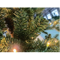 7 Foot Lit Slim Alpine Christmas Tree