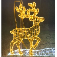 2D Golden Arch with Snowflakes Reindeer and Trees Rope Light Motif