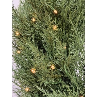 60cm Elegant Pine Wreath 