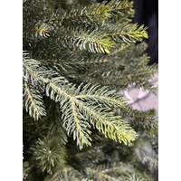 5 Foot Norway Spruce Christmas Tree