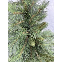 4 Foot Kingswood Fir Christmas Tree