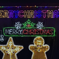 Merry Christmas with Holly/Snow Rope Light Motif 