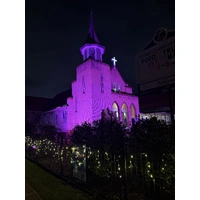 100W Purple LED Flood Light