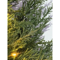 270cm Elegant Pine Lit Garland 