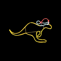85m Christmas Kangaroo Rope Light Motif