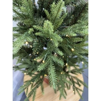 4 Foot Potted Warm White Christmas Tree 