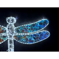 Dragon Fly Rope Light Motif