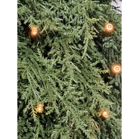 60cm Elegant Pine Wreath 