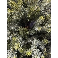 5 Foot Norway Spruce Christmas Tree
