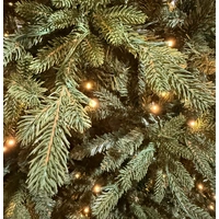7.5  Foot Warm White/Multi Lit Fraser Hill Christmas Tree