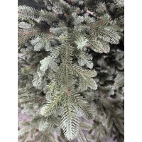 210cm Aspen Pine Fir Artificial Christmas Tree