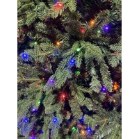 7.5  Foot Warm White/Multi Lit Fraser Hill Christmas Tree