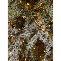 6 Ft Lit Warm White & Colour Changing Christmas Tree