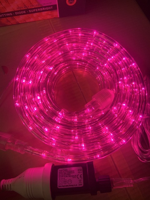 Pink Light