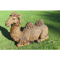 Resin Sitting Camel 88cm long