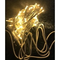 Warm White/Cool White 2 Chip Bulb String Light