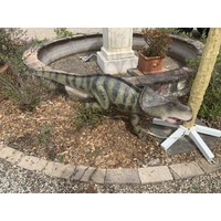 Protoceratops Dinosaur