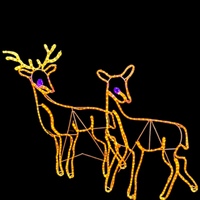 Two LED Reindeer Rope Light Motif 