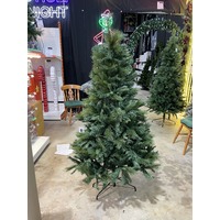 6' Majestic Pine Tree