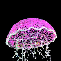 3D Jelly Fish Rope Light Motif