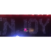 White LED Digital Net Light with Remote Control