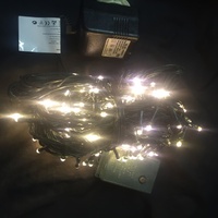 14M Warm White Fairy Lights on a Green wire