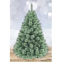 4 Foot Blue Appalachian Pine Christmas Tree