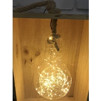 Warm White Hanging Glass Bulb Terrarium with Rope