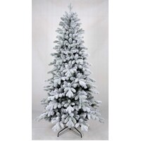 7 Foot Alaskan Spruce Christmas Tree
