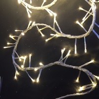 10M Warm White LED Firecracker String -clear wire