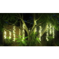 10M Warm White Firecracker Curtain -green wire with controller