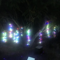 10M Multi LED Firecracker Curtain-green wire