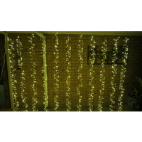 3m x 2m Warm White Cluster Curtain-green wire 