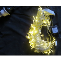 10M Static Warm White LED Strings - clear wire
