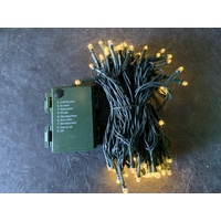 10m Warm White LED Battery String- green wire
