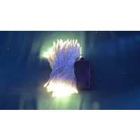10m Warm White  LED Battery String - CW