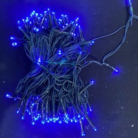20m Blue LED String Light  - 12V