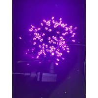 20m Pink LED String Light  - 12V