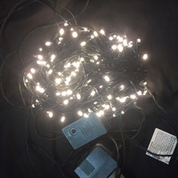 20m White LED String Light  - 12V