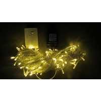 30m Warm White LED String -clear wire