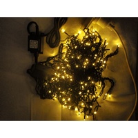 30m Warm White LED String -green wire 
