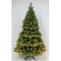 10’ Lit Oxford Spruce Christmas Tree - 900 Bulbs