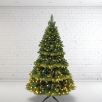 8' Lit Oxford Spruce Christmas Tree - 600 Bulbs