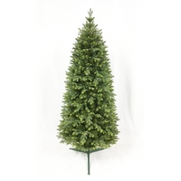 7 Foot Slender Blackford Fir Christmas Tree