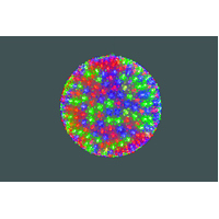 32cm LED Petal Ball Colour Change