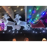 2 Reindeer with Sleigh