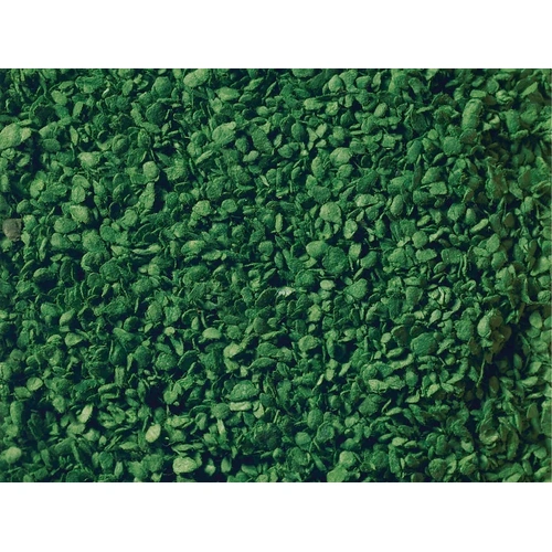 Noch 07144 -  Leaves