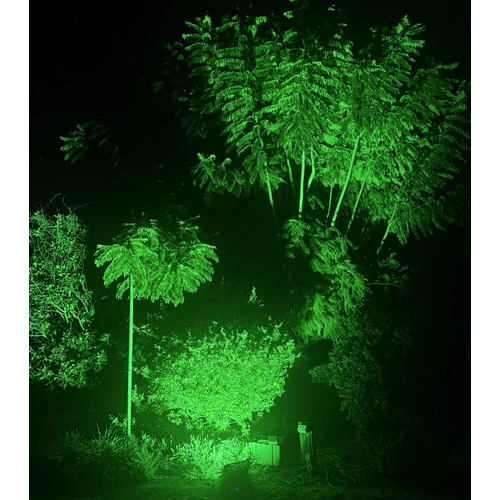 100W Green Flood Light